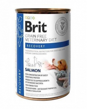 BRIT Veterinary Diet Recovery Salmon hrana caini si pisici in convalescenta 400 g