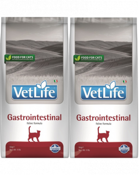 FARMINA Vet Life Cat Gastrointestinal 2x5 kg hrana pisici cu afectiuni digestive