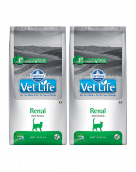 FARMINA Vet Life Renal Cat 2x10 kg dieta pisici pentru sustinere functie renala