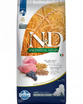 N&amp;D Low Grain Dog Lamb &amp; Blueberry Puppy Medium &amp; Maxi Sac hrana catei talie medie si mare, cu miel si afine 12 kg