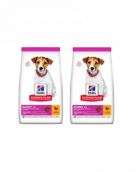 HILL'S Science Plan Canine Puppy Small&amp;Mini Chicken 6 kg (2 x 3 kg) hrana uscata catei si femele gestante