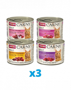 ANIMONDA Carny Set conserve hrana umeda pentru pisici, mix sortimente 12 x 200 g