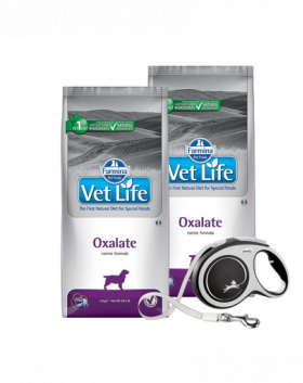 FARMINA Vet Life Dog Oxalate 2 x 12 kg hrana caini afectiuni renale si ale tractului urinar + FLEXI New Comfort L Tape 8 m GRATIS