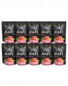 DOLINA NOTECI Rafi Cat mancare umeda pisici, cu somon 10x300 g