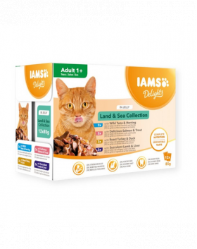 IAMS Cat Delights Adult All Breeds Land&amp;Sea In Jelly mix arome in jeleu, hrana pisici 12 x 85 g