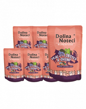 DOLINA NOTECI Superfood Plicuri hrana umeda pisici, cu homar si creveti 10x85 g