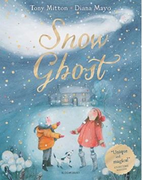 Snow Ghost | Tony Mitton