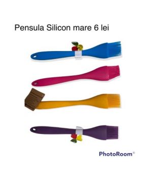 Pensula silicon, diverse culori Engros