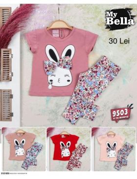 COMPLEU BEBE FATA 6/24 LUNI (ENGROSS) [CLONE]