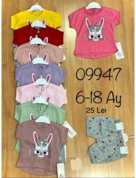 COMPLEU BEBE FATA 6/24 LUNI (ENGROSS)