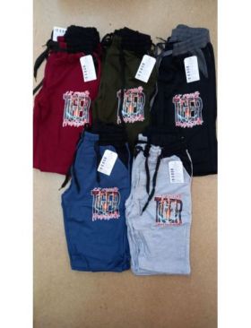 Pantaloni scurti baieti Engros, cu model imprimat