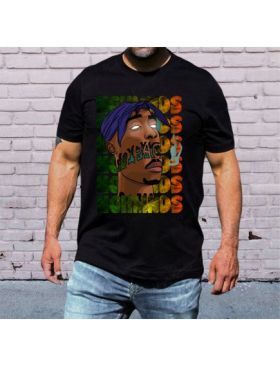 Tricou masculin urban streetwear, 2pac high, engros