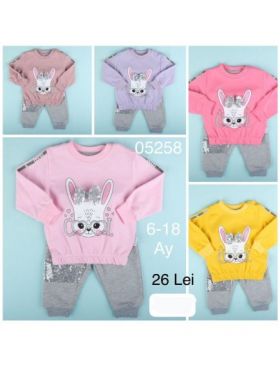 COMPLEU BEBE FETITE 6/18 LUNI (ENGROSS) [CLONE]