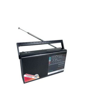 RADIO PORTABIL 317 LW FM/AM/TV/LW/SW enGross