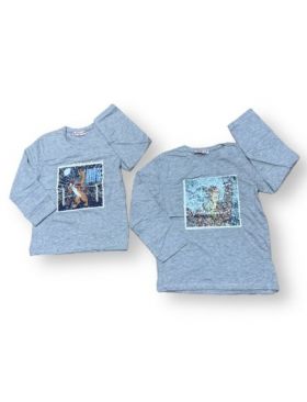 BLUZA ENGROSS MANECA LUNGA BAIETI