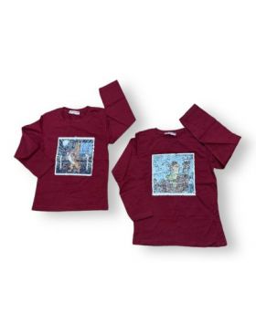 BLUZA ENGROSS MANECA LUNGA BAIETI