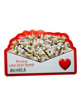 Magnet En-gros, Aranjament cu Ghiocei " Pentru cea mai buna BUNICA" 10×7cm