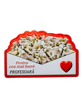 Magnet En-gros, Aranjament cu Ghiocei " Pentru cea mai buna PROFESOARA" 10×7cm