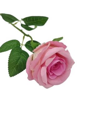 Trandafir de catifea fir 9 cm boboc
