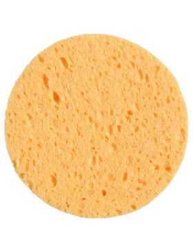 Burete de fata spongios Engros