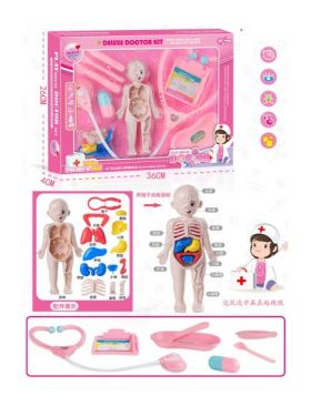 SET DOCTOR ANATOMIA OMULUI Engros