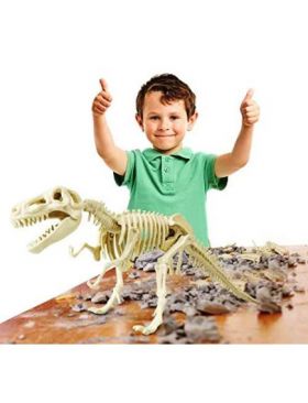 Descopera fosila T-Rex joc arheolog Engros