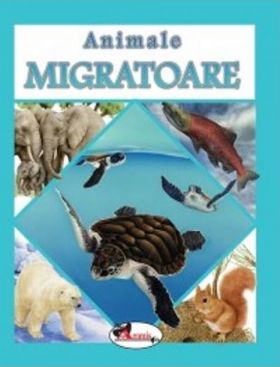 Animale migratoare | 