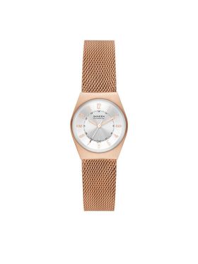 Ceas Skagen Grenen SKW3035 Auriu