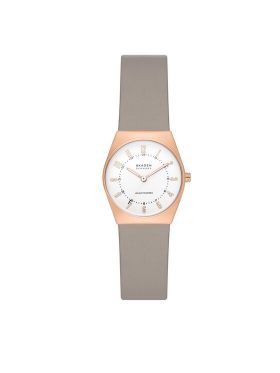 Ceas Skagen SKW3079 Auriu