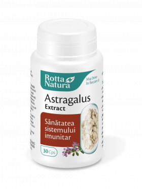 Astragalus Extract, contribuie la sanatatea sistemului imunitar, 30 capsule, Rotta Natura