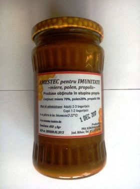 AMESTEC APICOL PENTRU IMUNITATE 450g