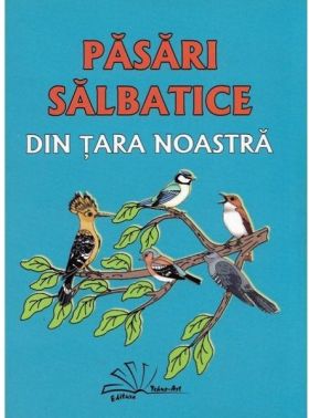 Pasari salbatice din tara noastra | Daniela Dosa