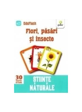 Flori pasari si insecte 3 ani+ Eduflash