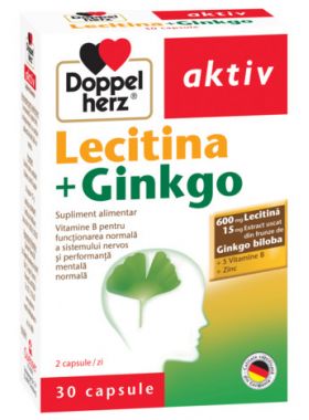 DOPPELHERZ AKTIV LECITINA + GINGKO 30 CAPSULE