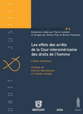 Les Effets des arrêts de la cour interaméricaine des droits de l'homme | Seminara Letizia