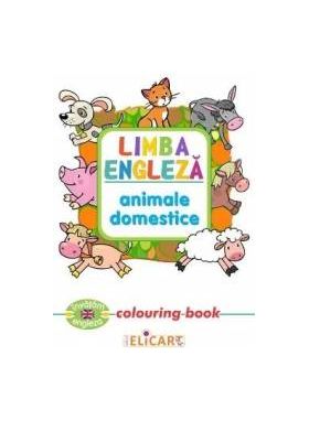 Limba engleza Animale domestice Colouring Book