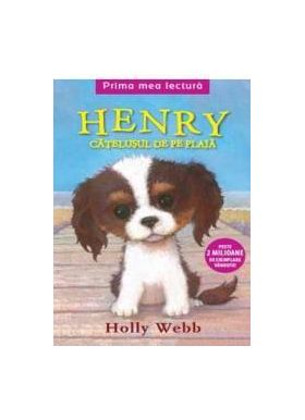 Henry catelusul de pe plaja - Holly Webb