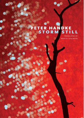 Storm Still | Peter Handke