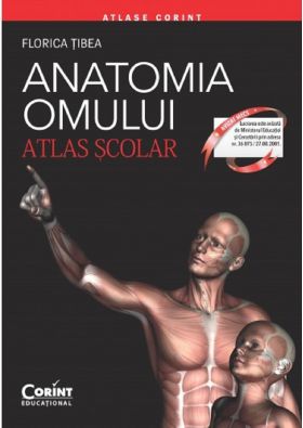 Anatomia omului - Atlas scolar | Florina Tibea