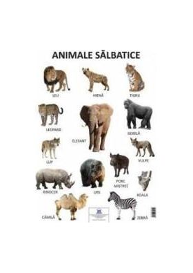 Plansa animale salbatice