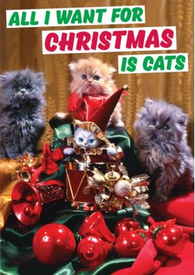 Felicitare - All i want for christmas is cats | Dean Morris Cards