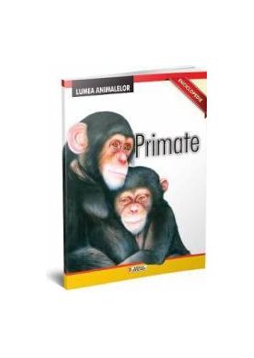 Lumea Animalelor - Primate