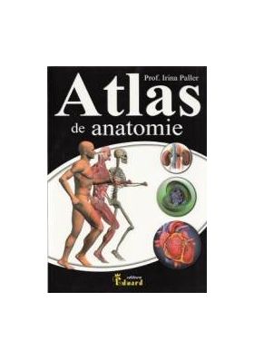 Atlas de anatomie - Irina Paller