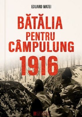 Batalia pentru Campulung 1916 | Eduard Matei