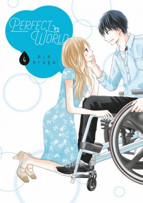 Perfect World - Volume 4 | Rie Aruga