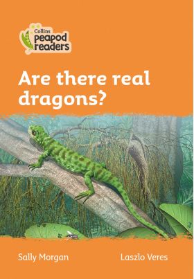 Are There Real Dragons? | Sally Morgan