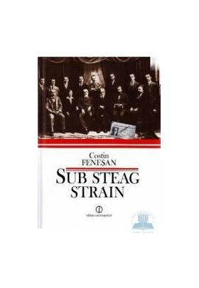 Sub steag strain - Costin Fenesan