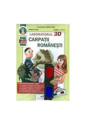 Laboratorul 3d. Carpatii Romanesti - Ionut Popa Danut Calin Daniel Ciupitu