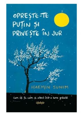 Opreste-te putin si priveste in jur | Haemin Sunim