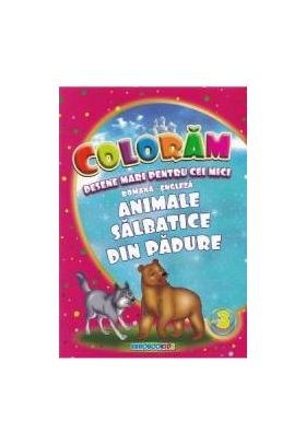 Coloram desene mari pentru cei mici Animale salbatice din padure